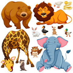 Obraz na płótnie Canvas Different types of wild animals