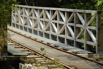 屋久島のトロッコ道