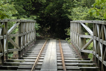 屋久島のトロッコ道