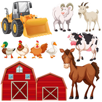 Set of farm animals and barns