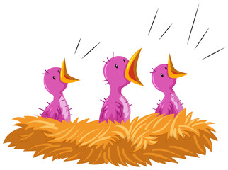 Baby birds crying in the nest