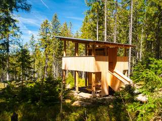 New wooden wildlife observation post in the forest