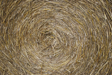 Yellow hay background. Round shape.