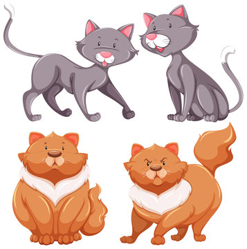 Set of cute cats thin and fat
