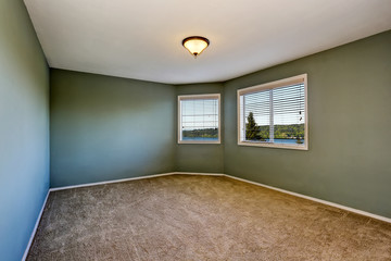 Empty room interior with green walls and carpet floor