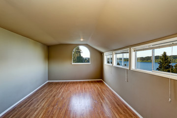 Empty room interior with green walls and carpet floor