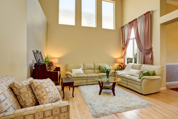 Cozy living room interior in light tones with leather sofas