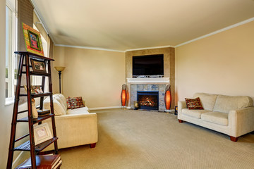 Living room interior with fireplace and two comfortable sofas.