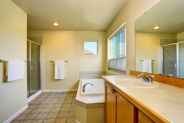 Bathroom interior with vanity cabinet, big mirror and white bath tub