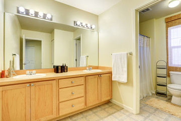 Bathroom interior with vanity cabinet, big mirror and toilet
