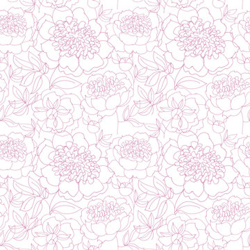 rosy peony floral sketch. spring flower vector illustration. bla