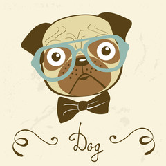 Dog gentleman. Illustration of an elegant pug