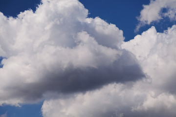 Fototapeta premium Clouds on the sky