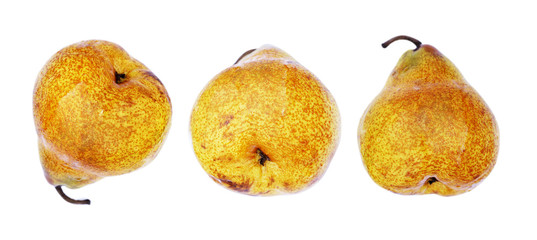 Three ripe pear