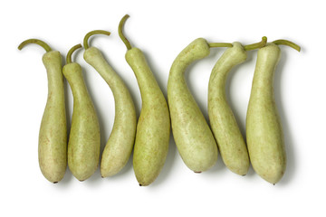  Fresh Moroccan bottle gourds