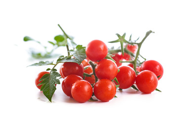 fresh organic cherry tomatoes