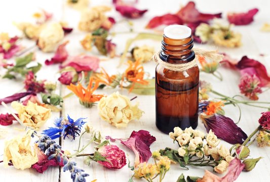 Bottle of herbal infused essential oil, amidst different colorful dried medicinal herbs and flowers mix.
