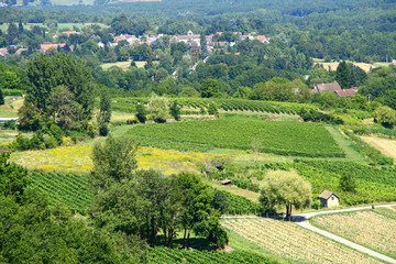 les coteaux du bugey près de Culoz