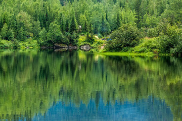 Trees reflected in the waters of Lake Sobolinoe