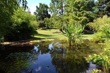 Botanischer Garten in Freiburg
