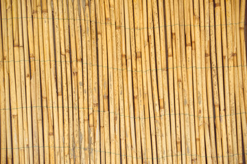 Dry reed straws fence as texture or background