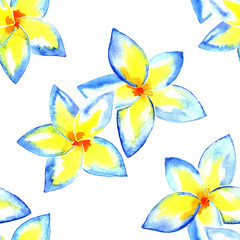 Fototapeta na wymiar Seamless watercolor hand painted background, pattern. Isolated blue flowers.