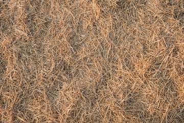 Straw textured ground