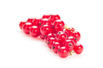 Red Currant isolated on a white background
