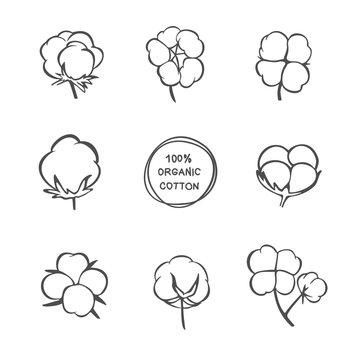 Cotton vector icons. Black cotton labels, stickers, illustrations