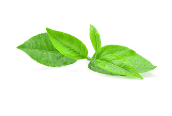 Green tea leaf isolated on white background