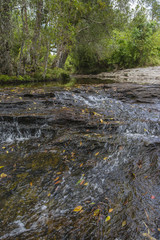 Phu Kradueng national park ,Thailand