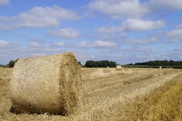Rundballen auf Stoppelfeld 