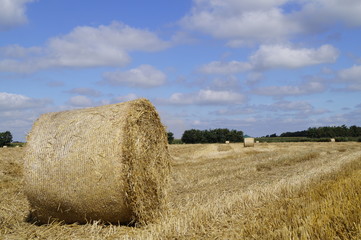 Rundballen auf Stoppelfeld 