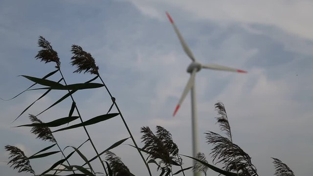 wind turbine, windmühle, umweltschutz