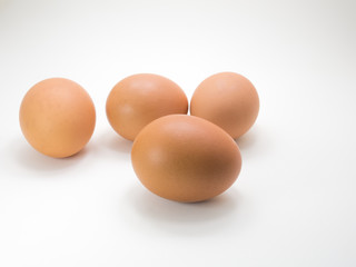 Egg on white background