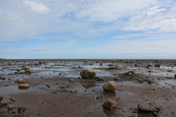 Побережье Белого моря после отлива.