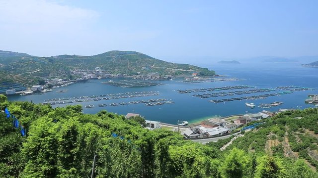 「八幡浜」の画像 299 件の Stock 写真、ベクターおよびビデオ Adobe Stock
