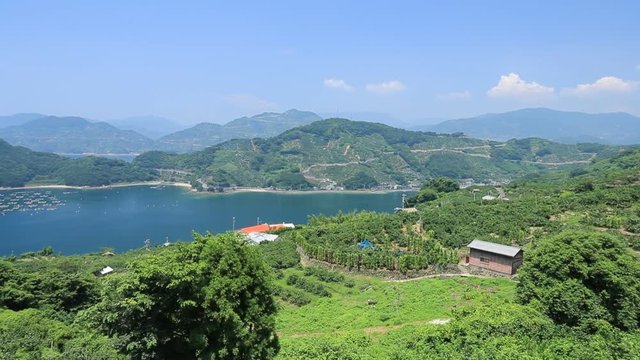 みかんの段々畑と養殖いかだ（愛媛県八幡浜川上）／左パン