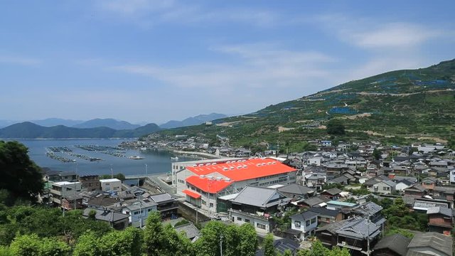 みかんの段々畑と養殖いかだ（愛媛県八幡浜川上）／右パン