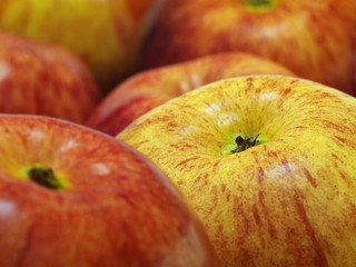 red and yellow apples closeup, macro, shallow depth of field