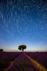 Startrails