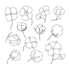 Obraz premium Vector set of hand draw outline cotton plant.