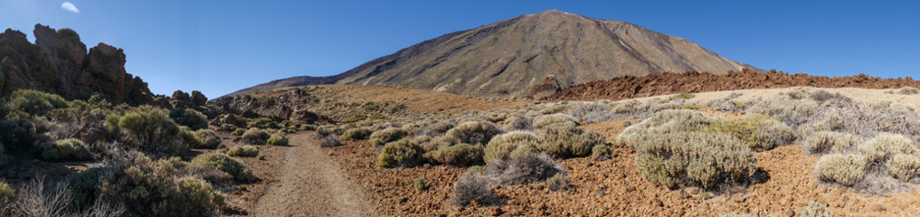 Fototapeta na wymiar Pico del Teide auf Teneriffa - UNESCO Weltnaturerbe - Cañadas
