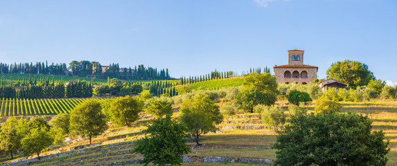 Panorama of Chianti hills and vineyards, Tuscany, Italy.