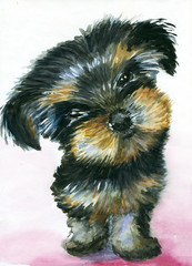 Watercolor cute Yorkshire Terrier puppy