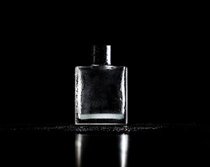 stylish bottle of perfume on black