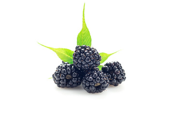 Bunch of blackberries isolated on white