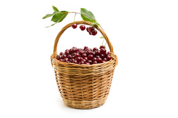 Basket full of fresh red cherry on a white background