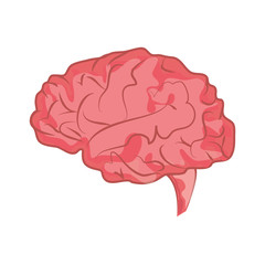 flat design human brain icon vector illustration