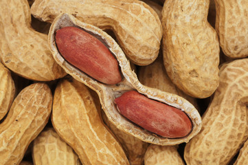 Close-up and detail of peanut background